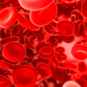 Taller de Emergencias Hematológicas