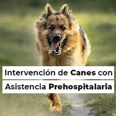 Intervención de Canes con Asistencia Prehospitalaria